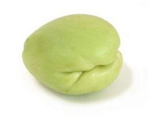 chayote3.jpg