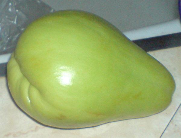 chayote5.jpg
